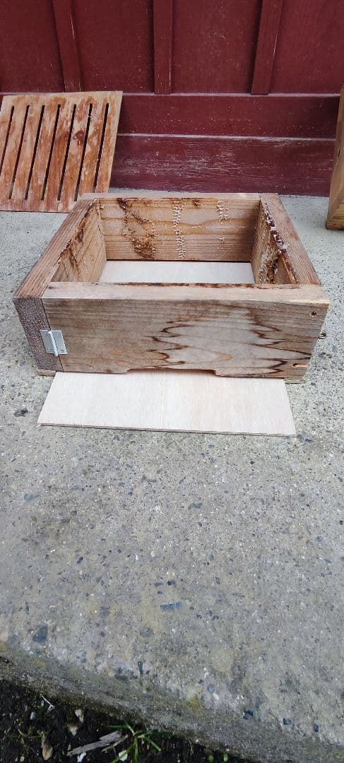 日本蜜蜂中古巣箱　分蜂捕獲セット　ミツロウ