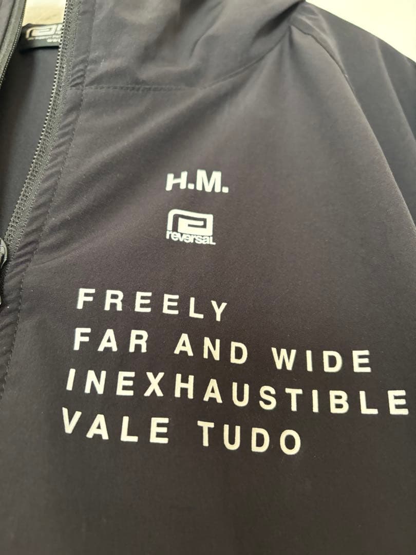 【宮本浩次×rvddw】 マウンテンパーカー Sサイズ 縦横無尽