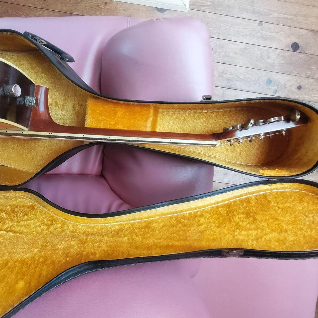 Morris W-30 エレアコ ジャパビン モーリス