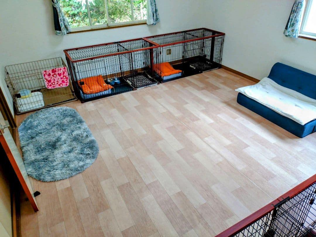 大型犬用金属製犬用ケージ