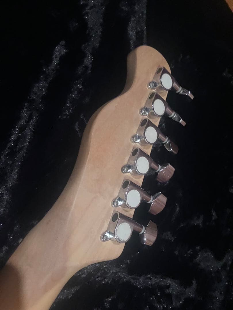 バッカス テレキャスター ダブル バインディング