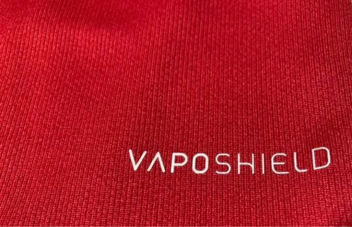 (未使用)(値引き)(NZツアー)ブリティッシュ　アイリッシュライオンズ2017