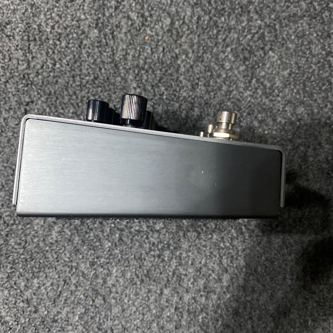 【Hannah】Strymon TIMELINE