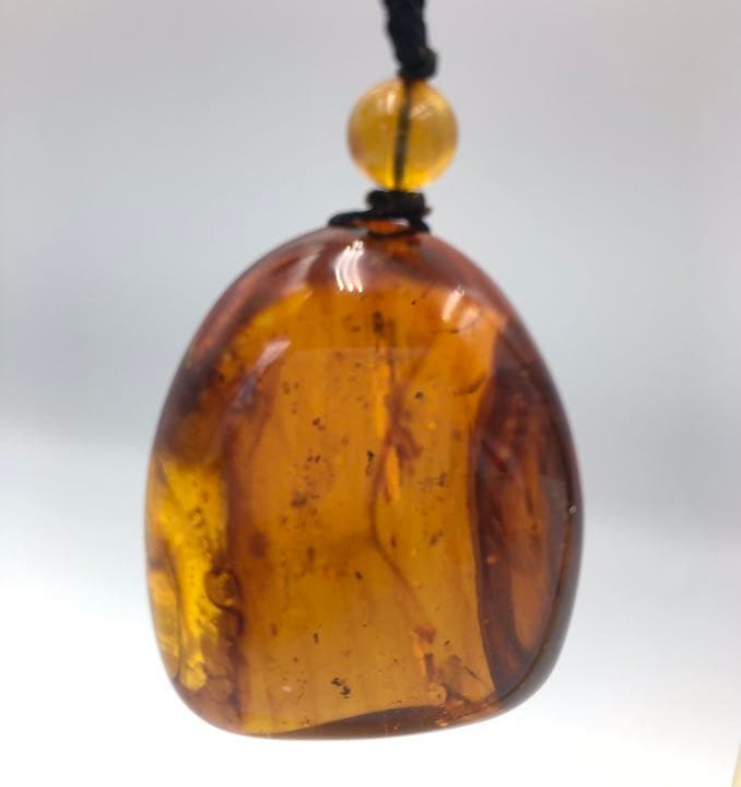 アンバー 琥珀 ユニーク 天然石 虫入り ネックレス 化石 宝石