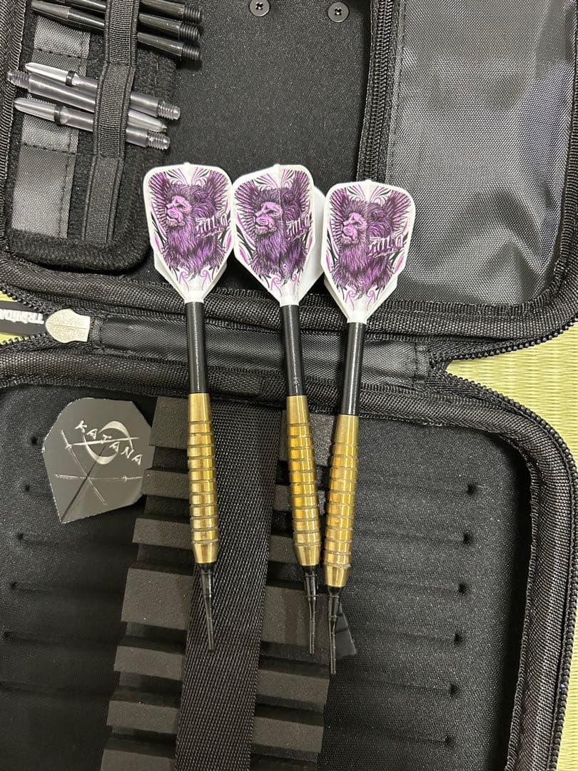 ダーツセット　引退品