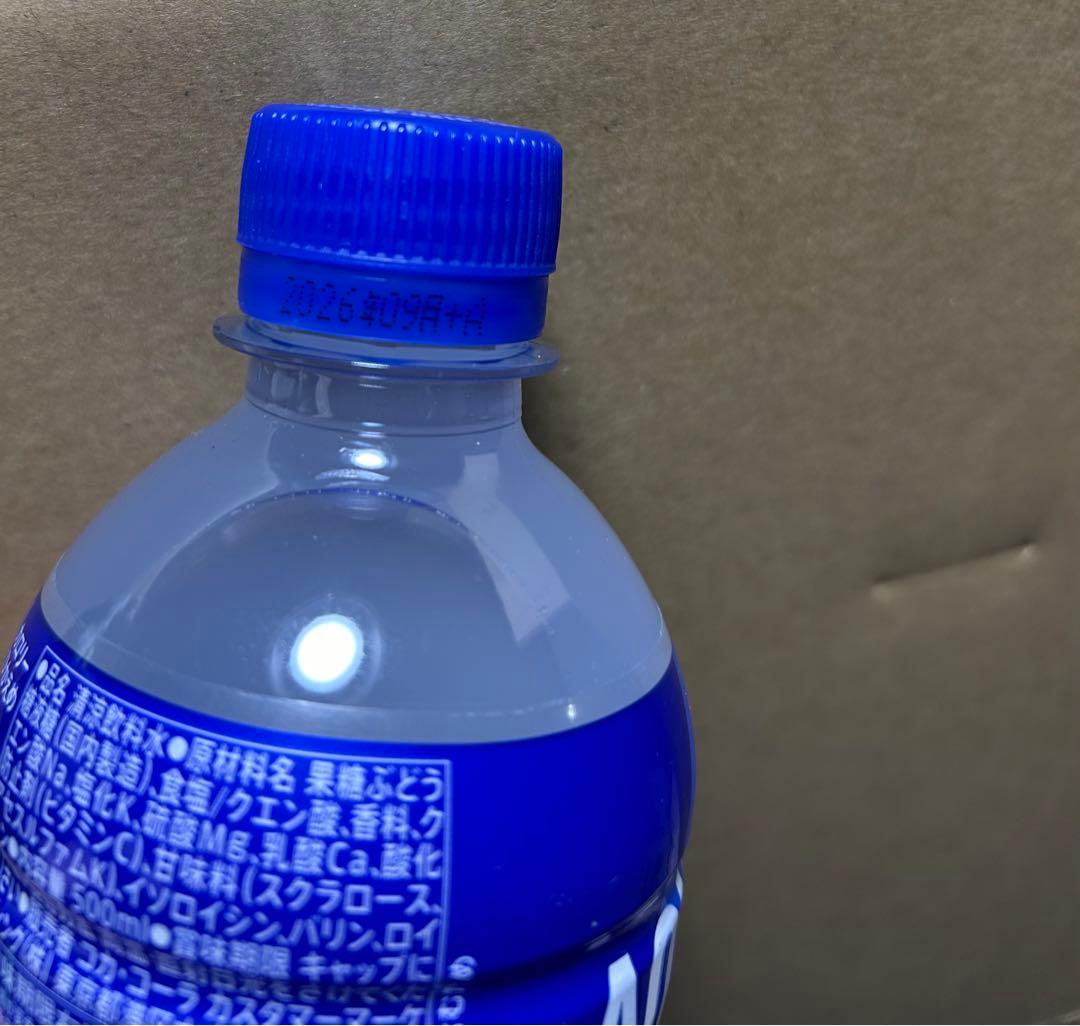 アクエリアス16本 サトウのごはん16個 中華丼1個 セット