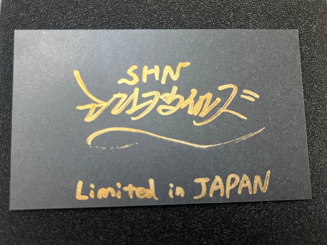 【30体限定！】【動物の惑星】ボールパイソン　フルブラック　アニマルプラネット