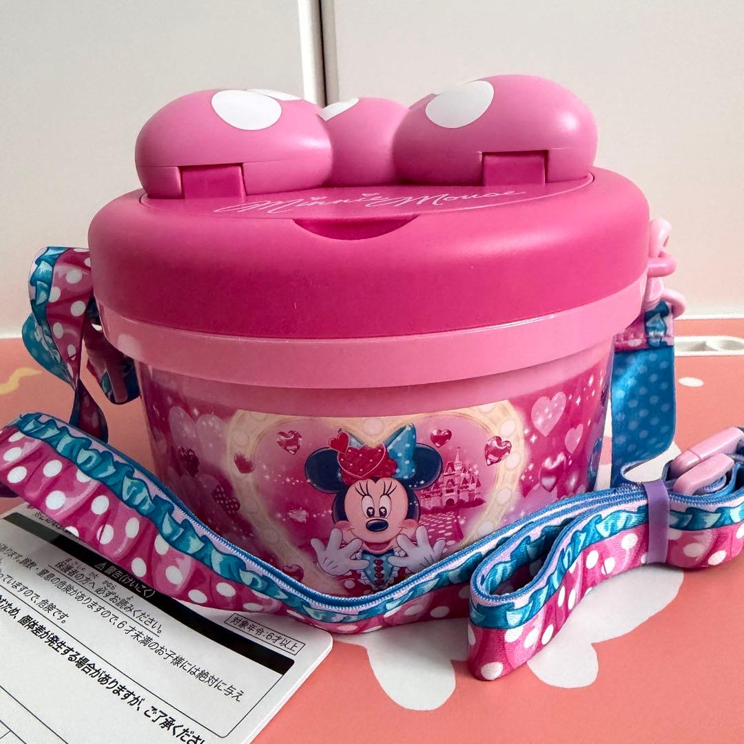 ディズニー ミニー パルパルーザ ファンダーランド ポップコーンバケット