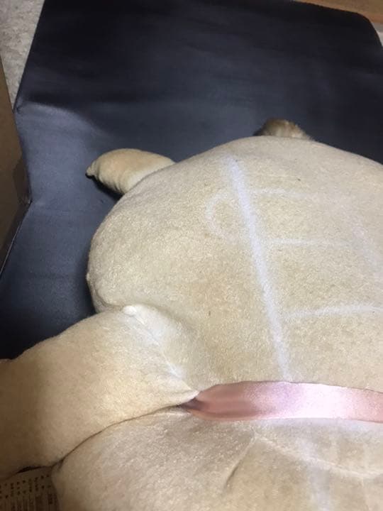 マリーちゃん BIGぬいぐるみ