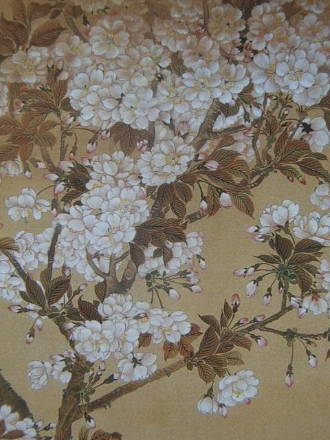 河鍋暁翠、【八重桜と鳥】、希少画集画より、状態良好、新品高級額装付