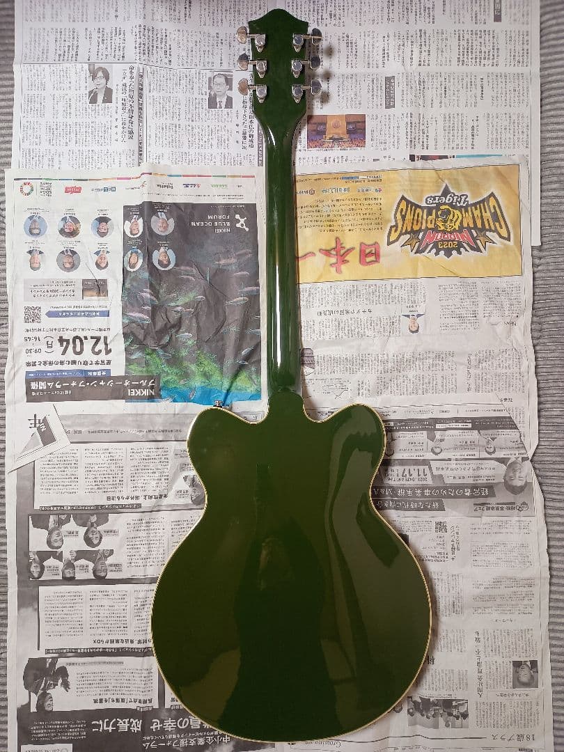 GRETSCH ( グレッチ )G2622LH Torino Green