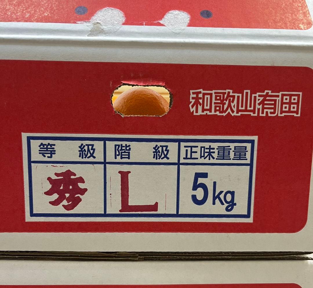 日本一「的兵みかん」赤秀品L 5000g