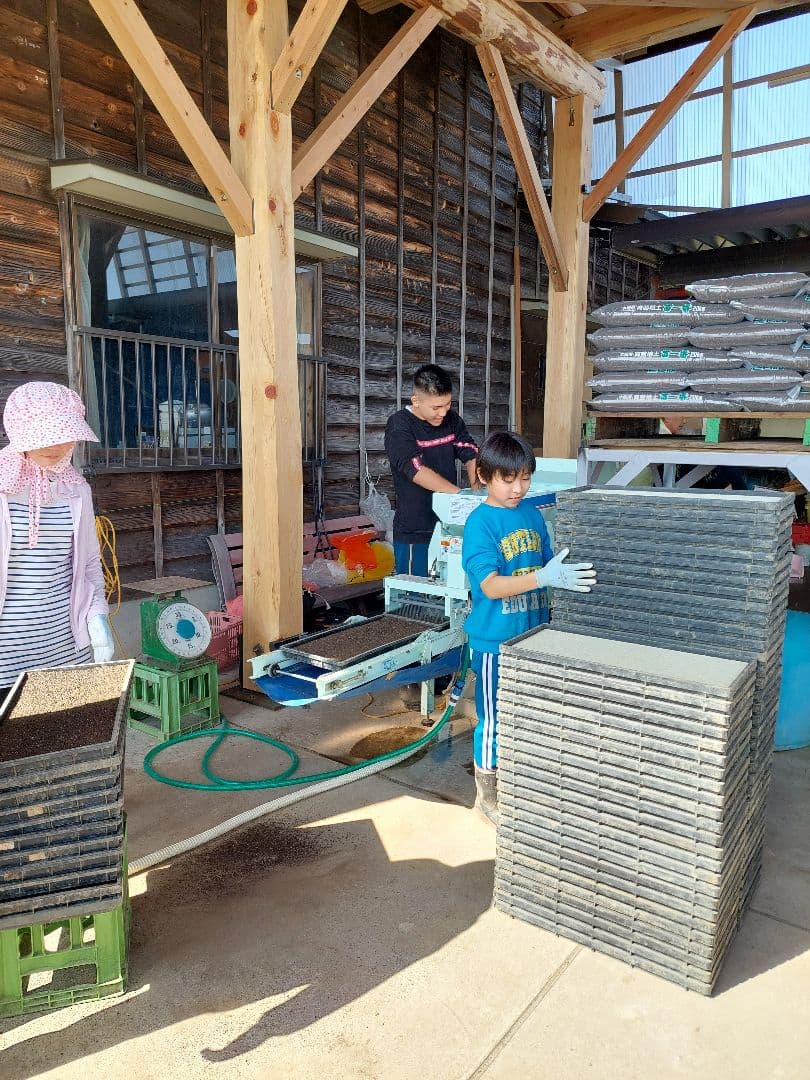 新潟県産コシヒカリ 特別栽培米 20kg（従来コシヒカリ）