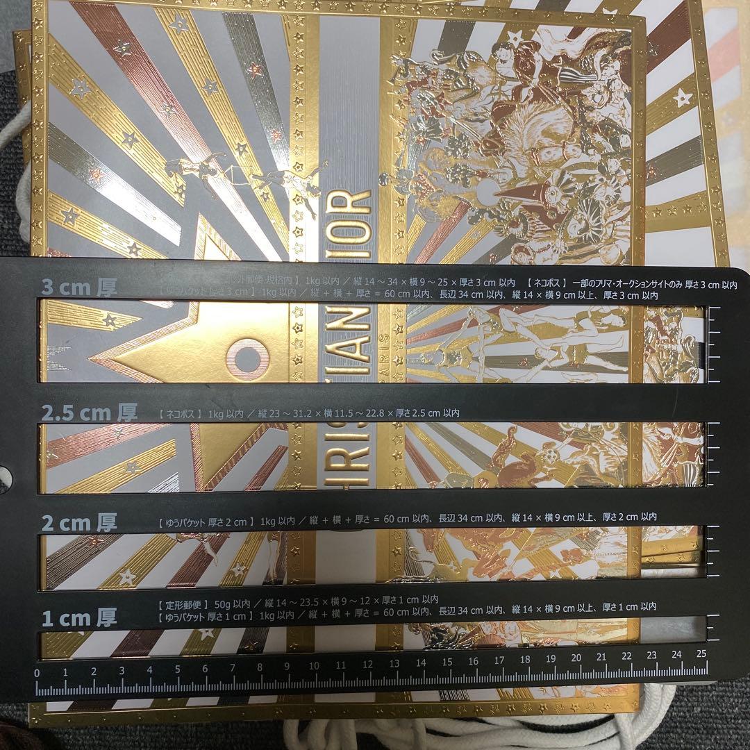 CHRISTIAN DIOR 2025年ショップ袋 ゴールド 100枚