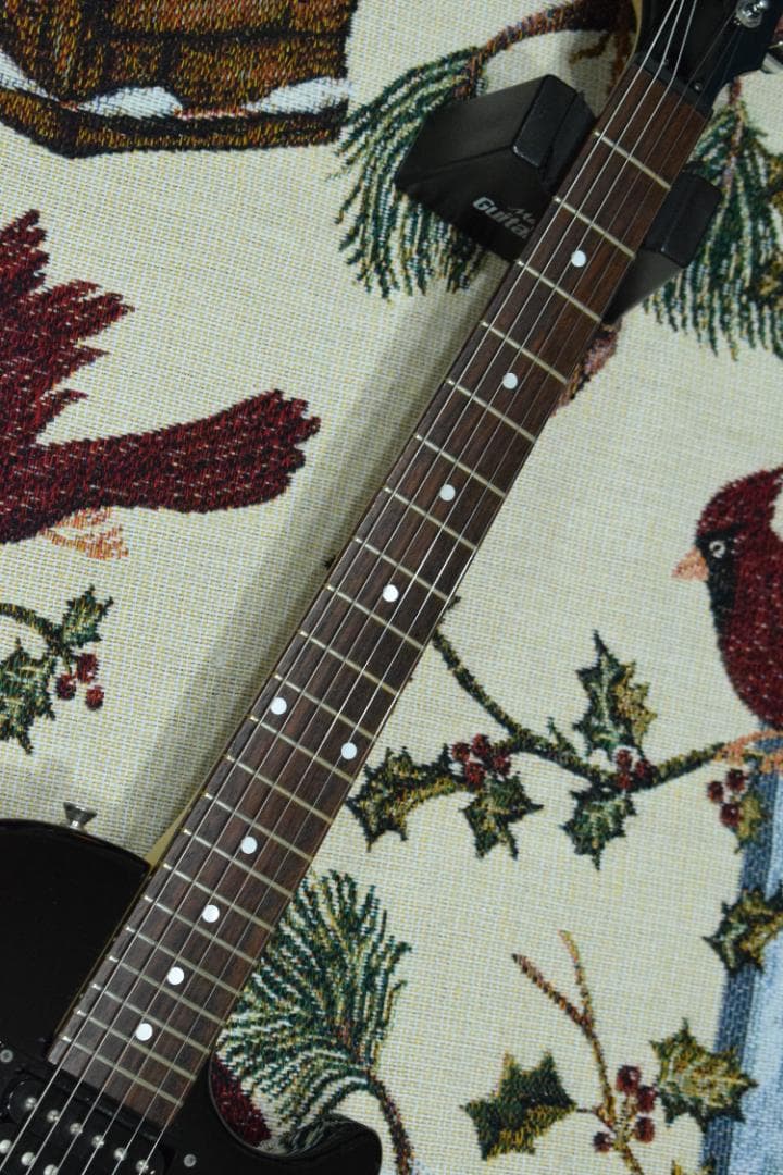 Burny Fernandes LG-480 SLG-50 ソフトケース付