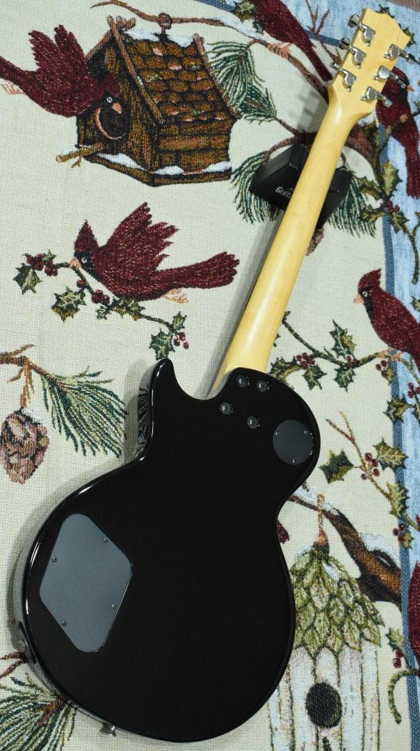 Burny Fernandes LG-480 SLG-50 ソフトケース付