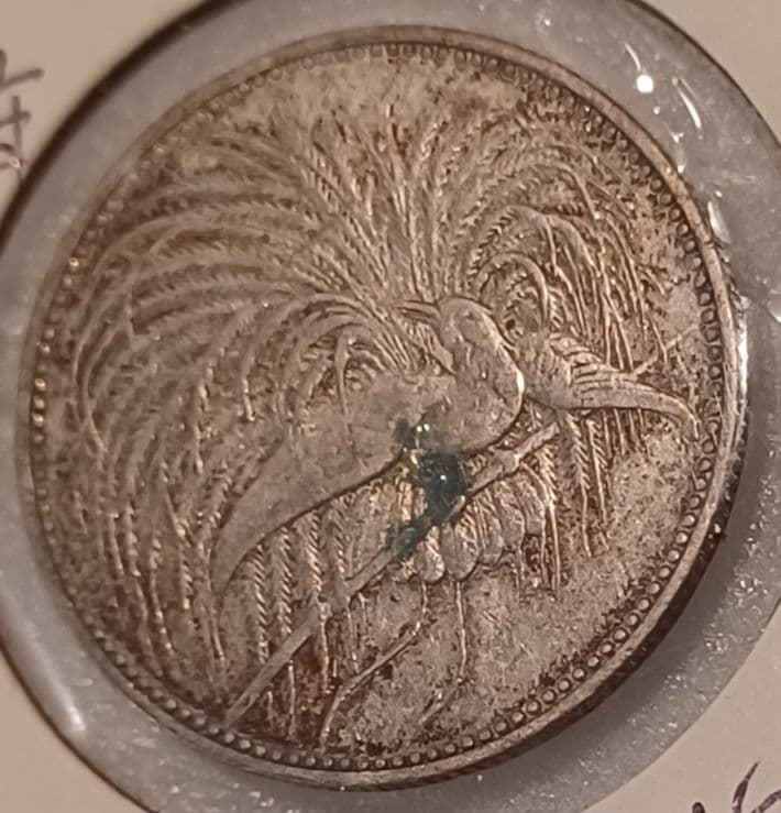 や*ち様 ドイツ領ニューギニア 極楽鳥の銀貨 1894年(131年前)1マルク銀