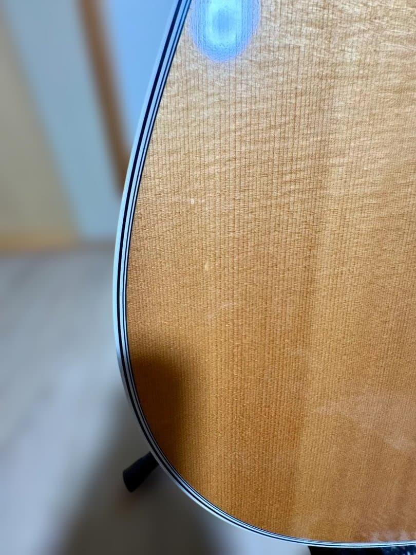 マーチンD-28 12弦ギター