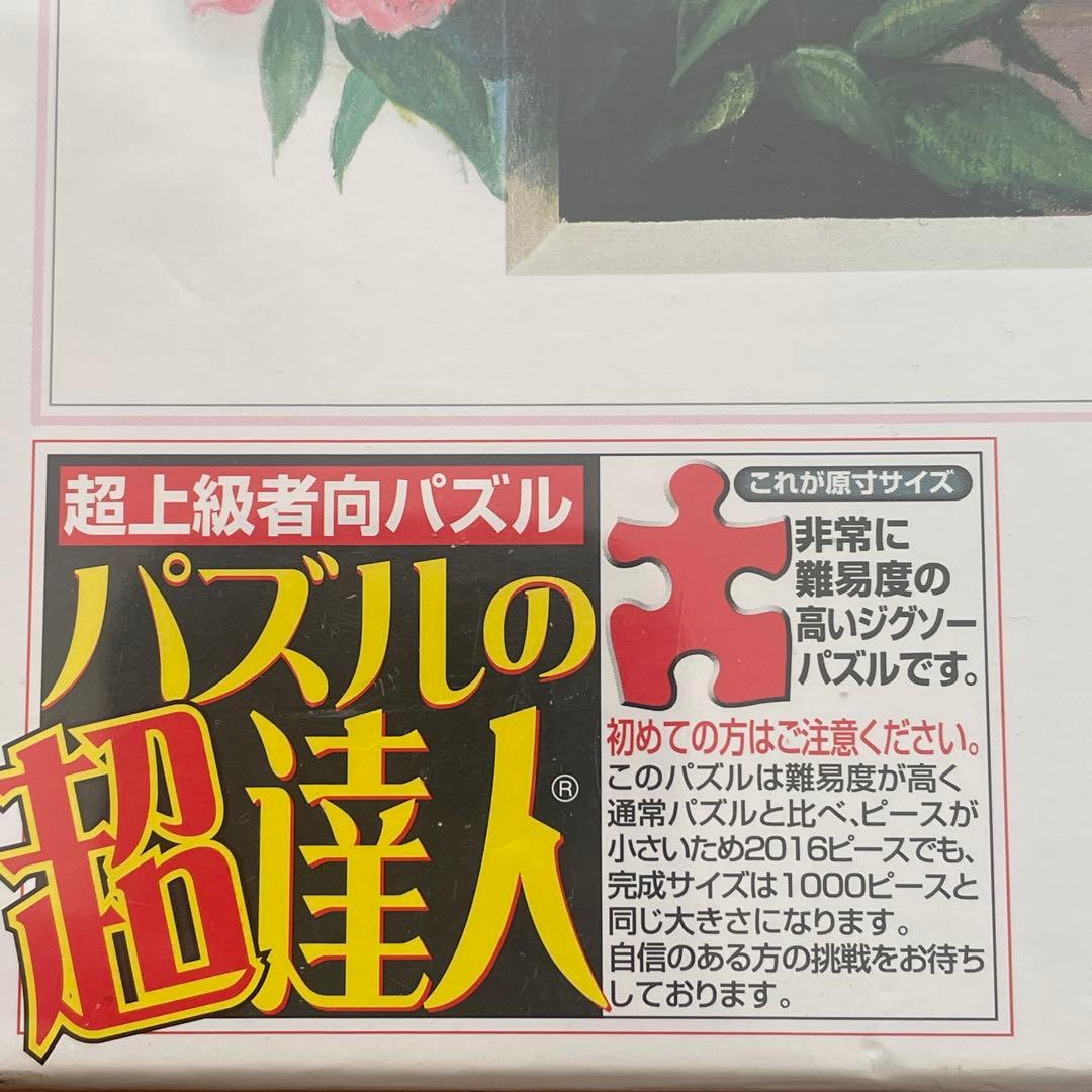 新品未開封 Peter Motz ジグソーパズル 2016ピース 超達人 廃盤