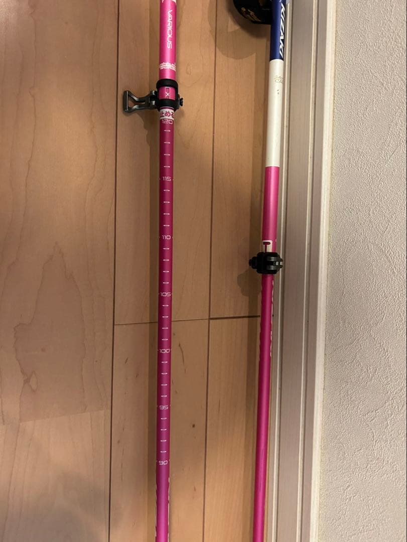 KIZAKI キザキ伸縮式スキーポールストック