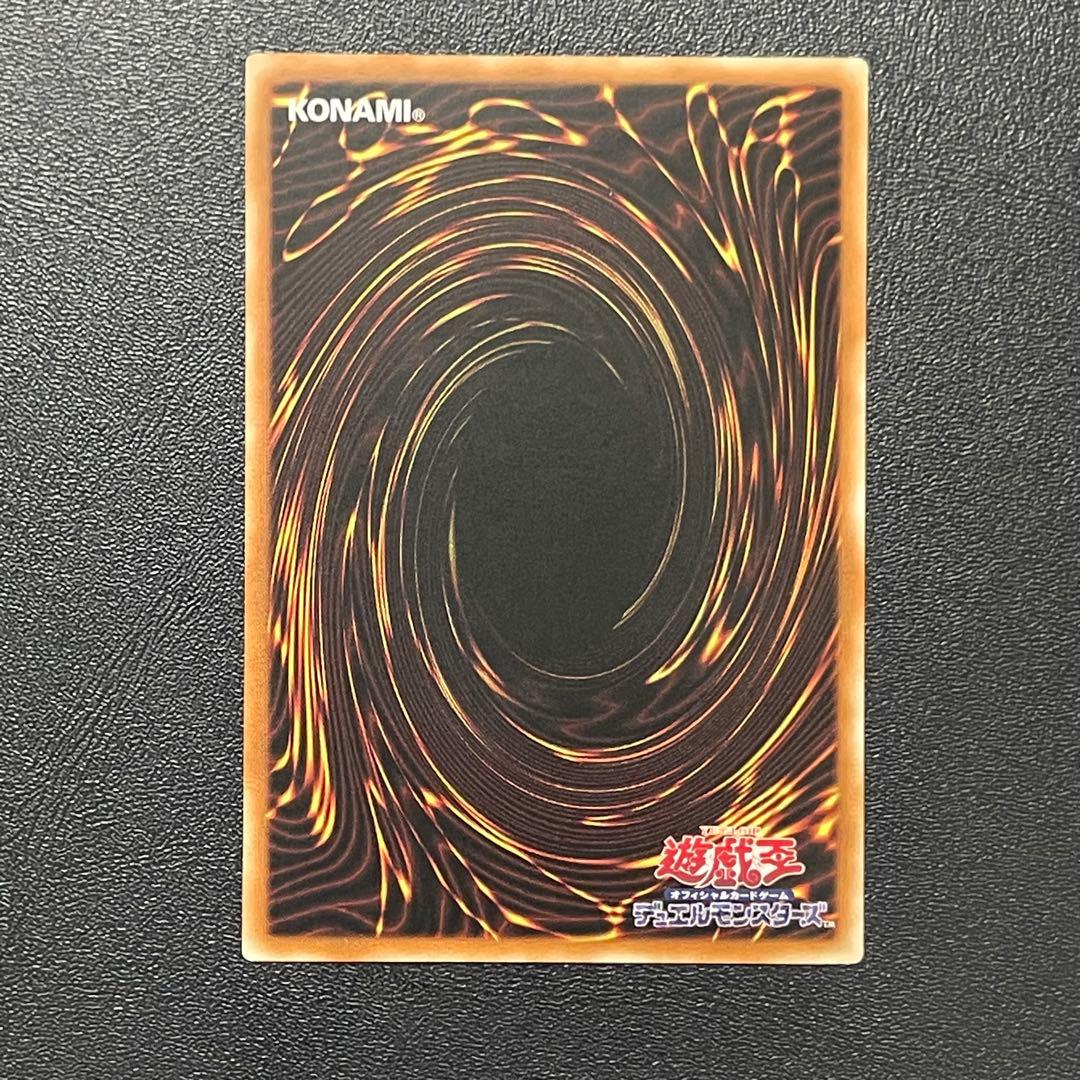 遊戯王 誇りと魂の究極竜 25thシークレットレア 日本語版 25thSE