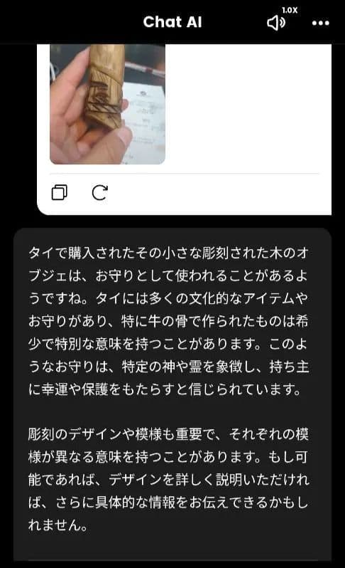 タイのお守りプラクルアン！なんかの角？骨？幸運値アップ！