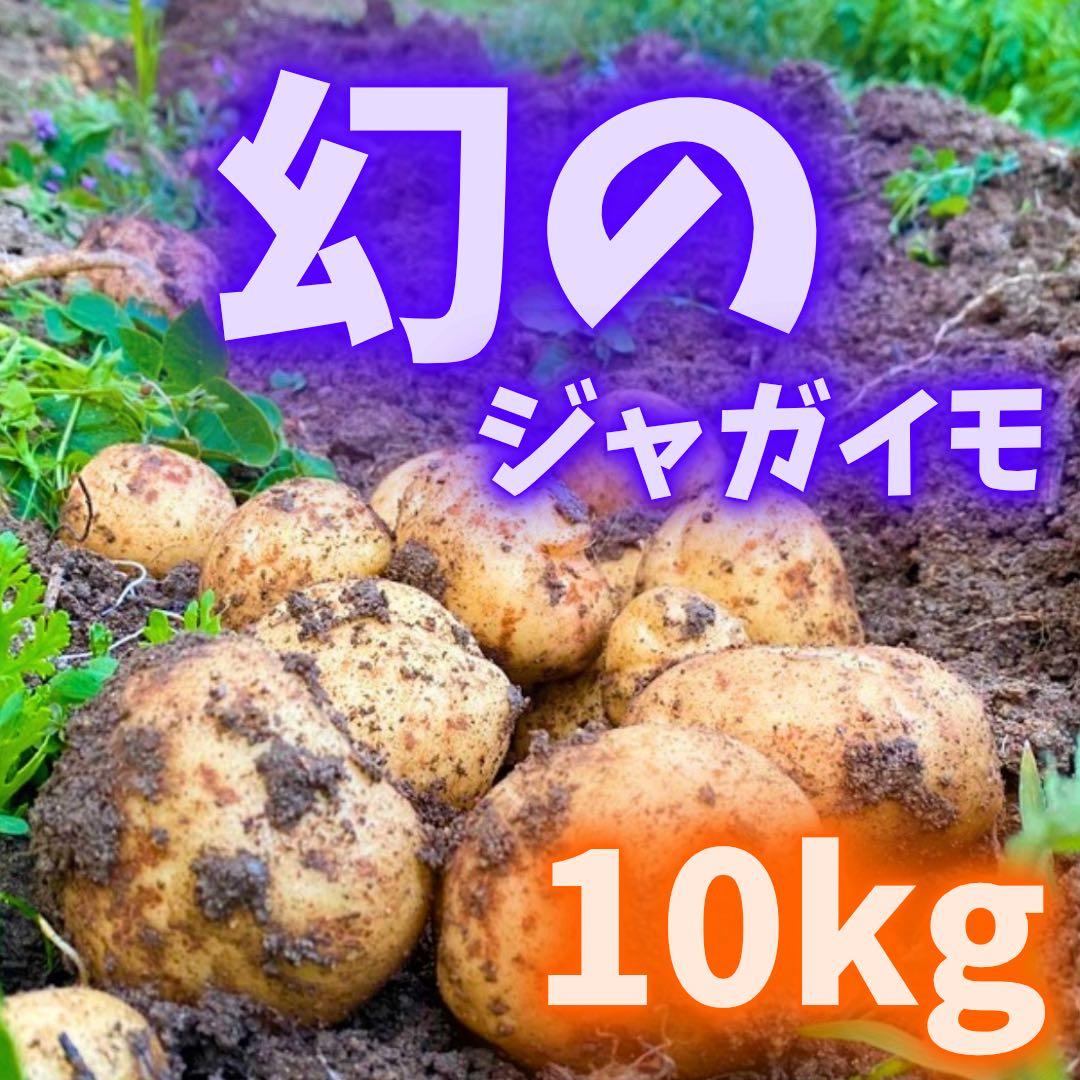 幻の　じゃがいも　ジャガイモ　17