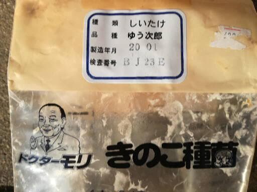 bullymolersさまご予約専用 大分県特産 生どんこ椎茸「秋子」