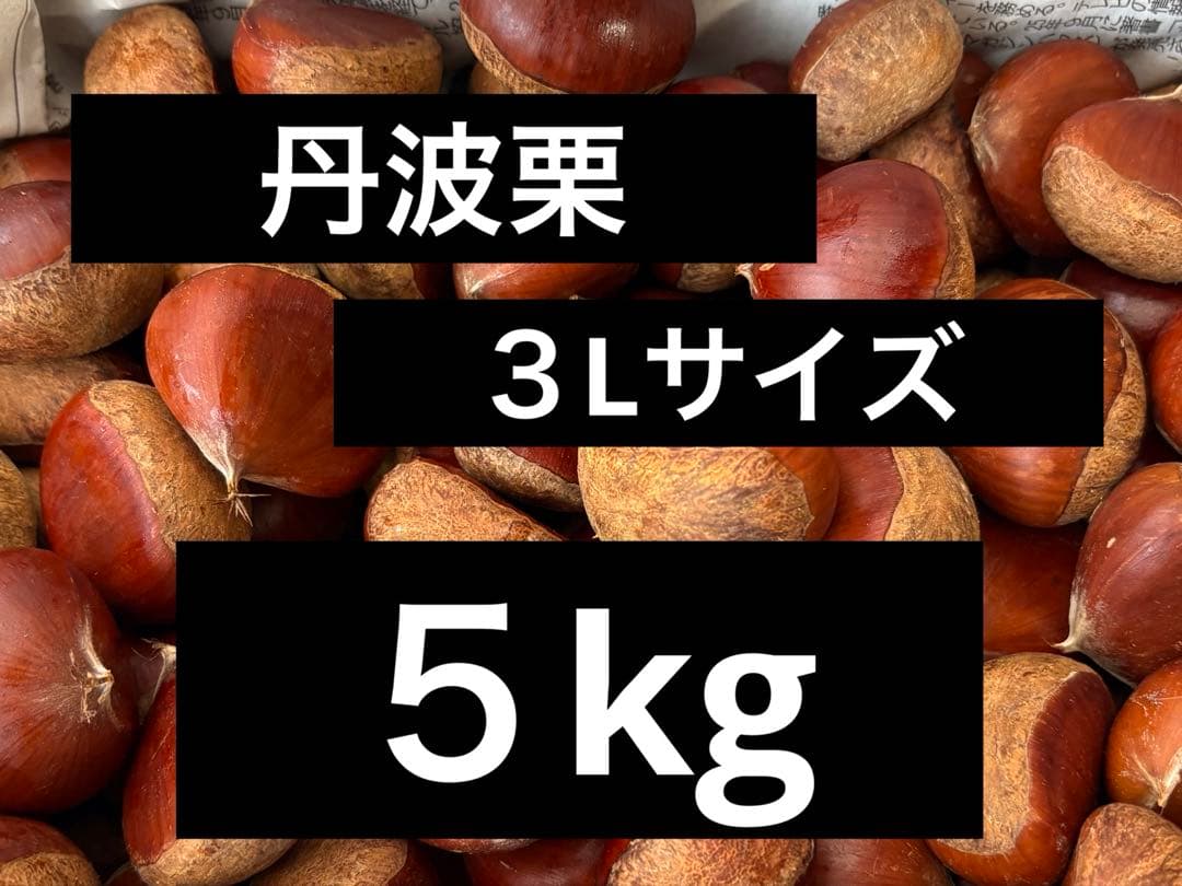 丹波篠山産【丹波栗】　15㎏