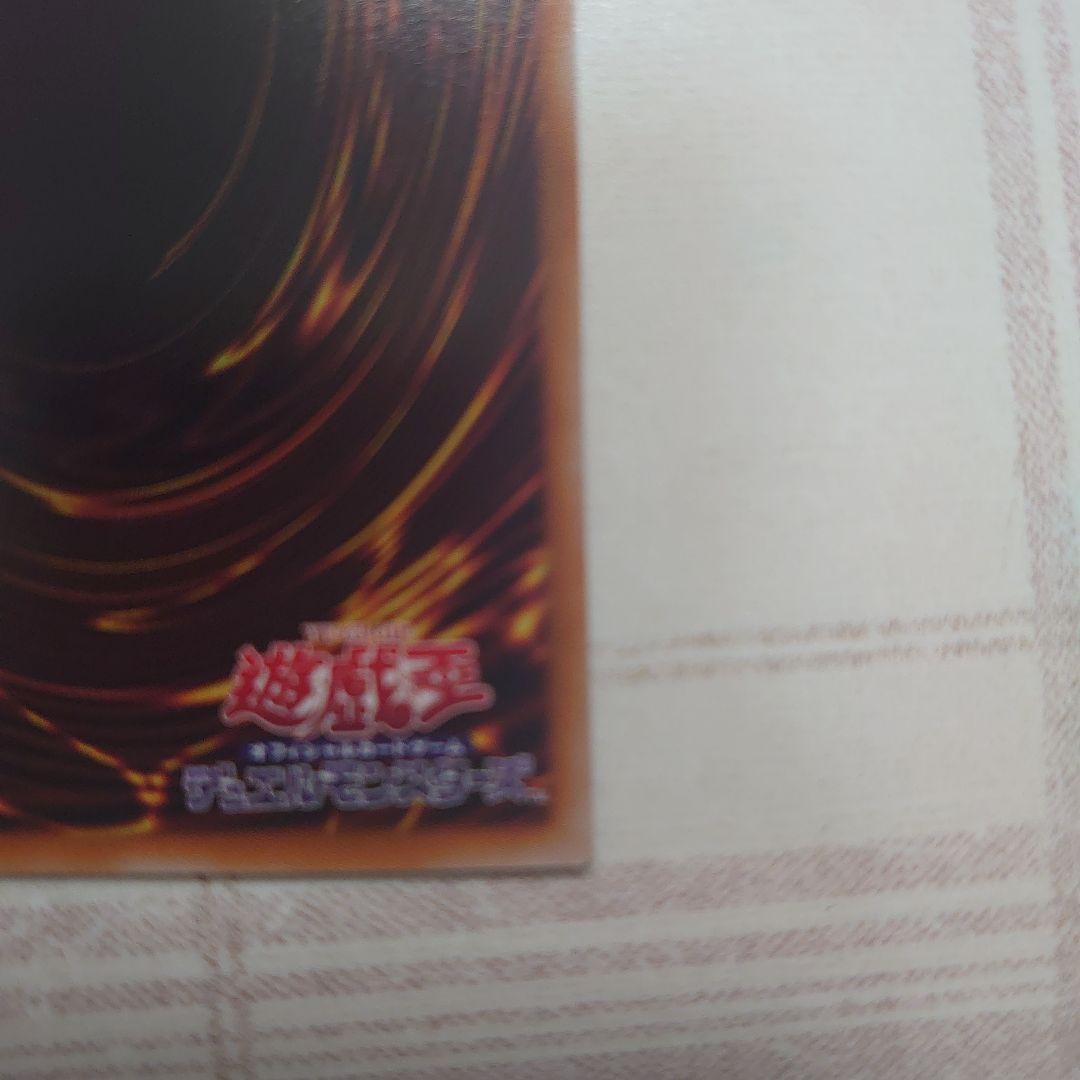 聖域を守護せし光の龍。