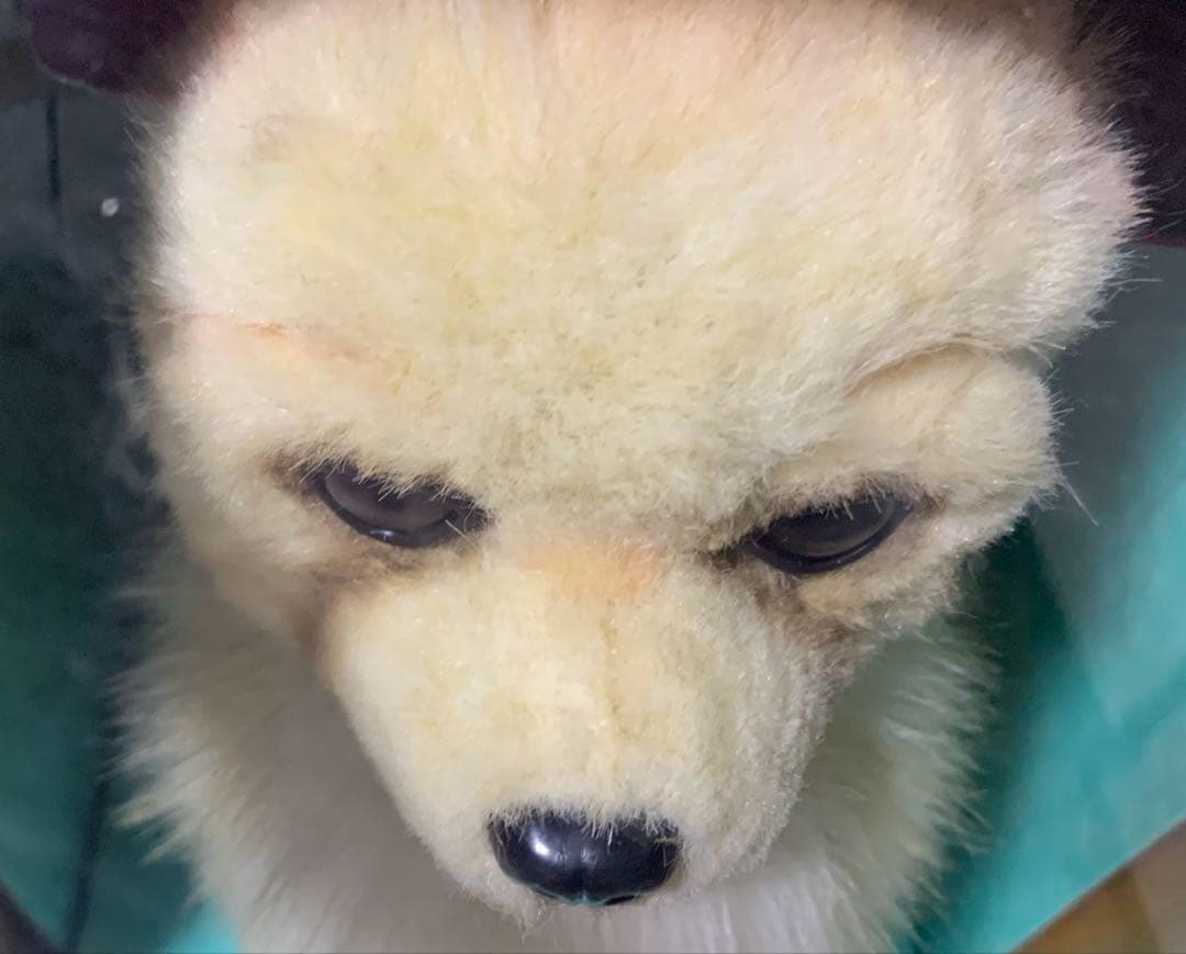 セガトイズ 夢いぬ　チワワ　クリーム色