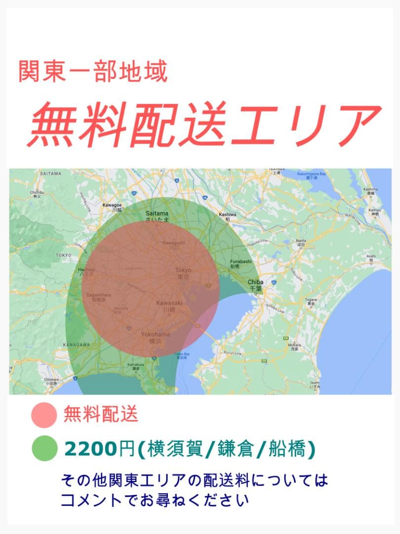 愛知静岡配送可 超特価 ギュットアニーズ電動アシスト自転車 H1524