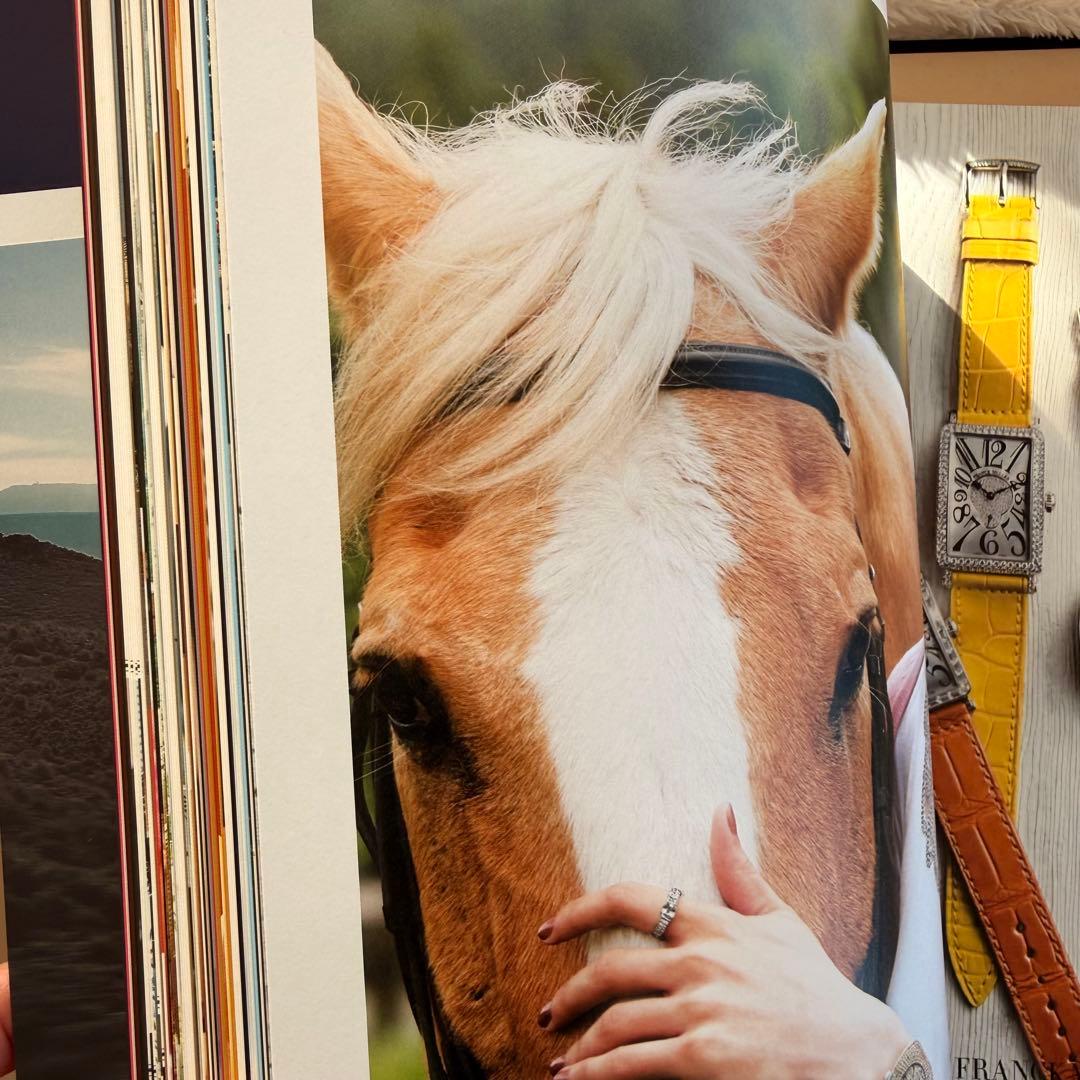 【最終SALE】GUCCI 菓子器　ノベルティ世界1050限定