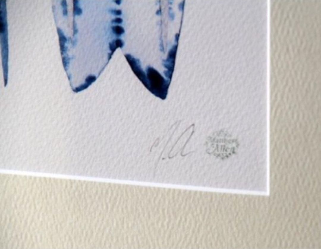 Matthew Allen 　マシューアレン 　 Azure Fish