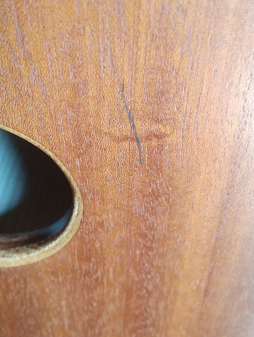 濱崎商会 SPC-380LH リバーシブルカホン 背面ボンゴ仕様 社外ケース付き