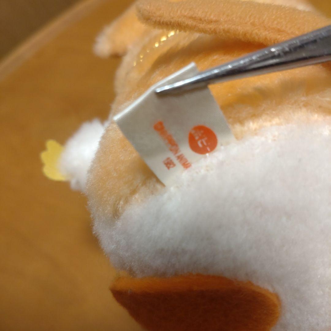 南の虹のルーシー　わんぱくモッシュ