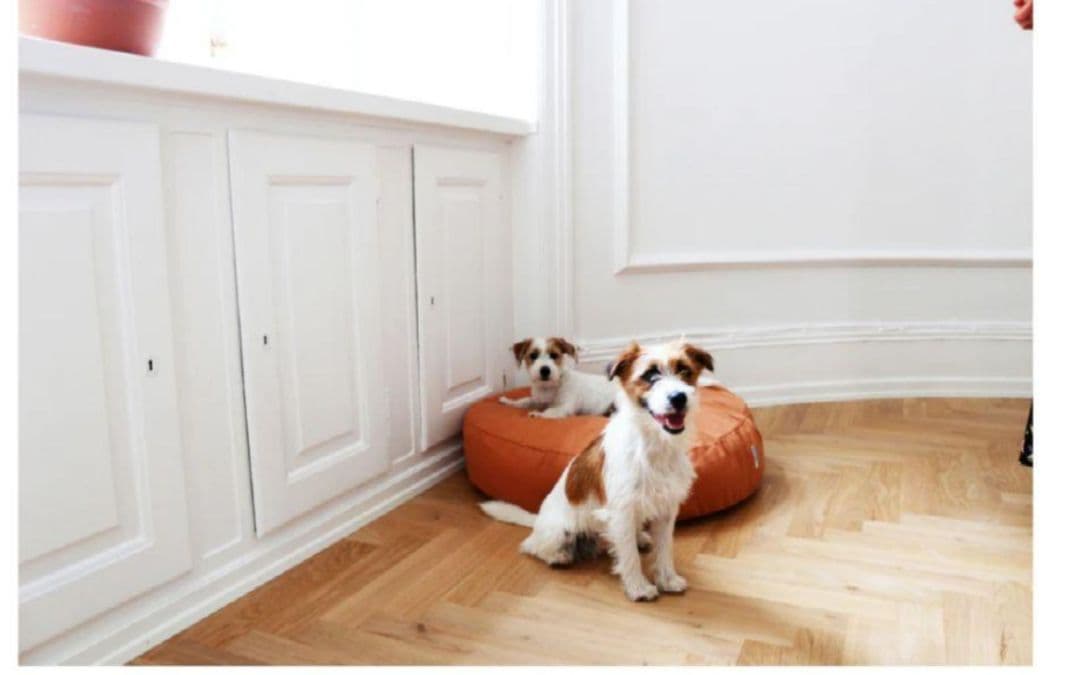 tadazhi タダシ ポエスパスベッド ラウンドベッド 犬 猫 クッション