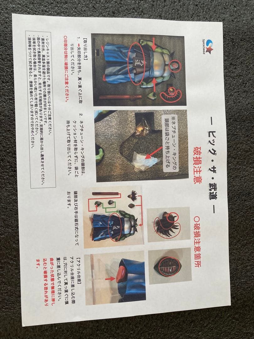 【最終値下げ・新品未使用】　スパイスシード　ビッグ•ザ•武道