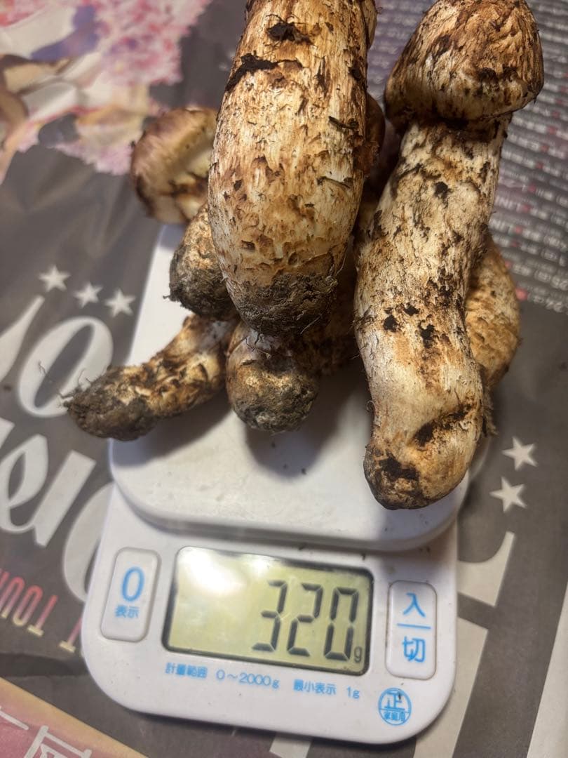 岩手県産松茸320g