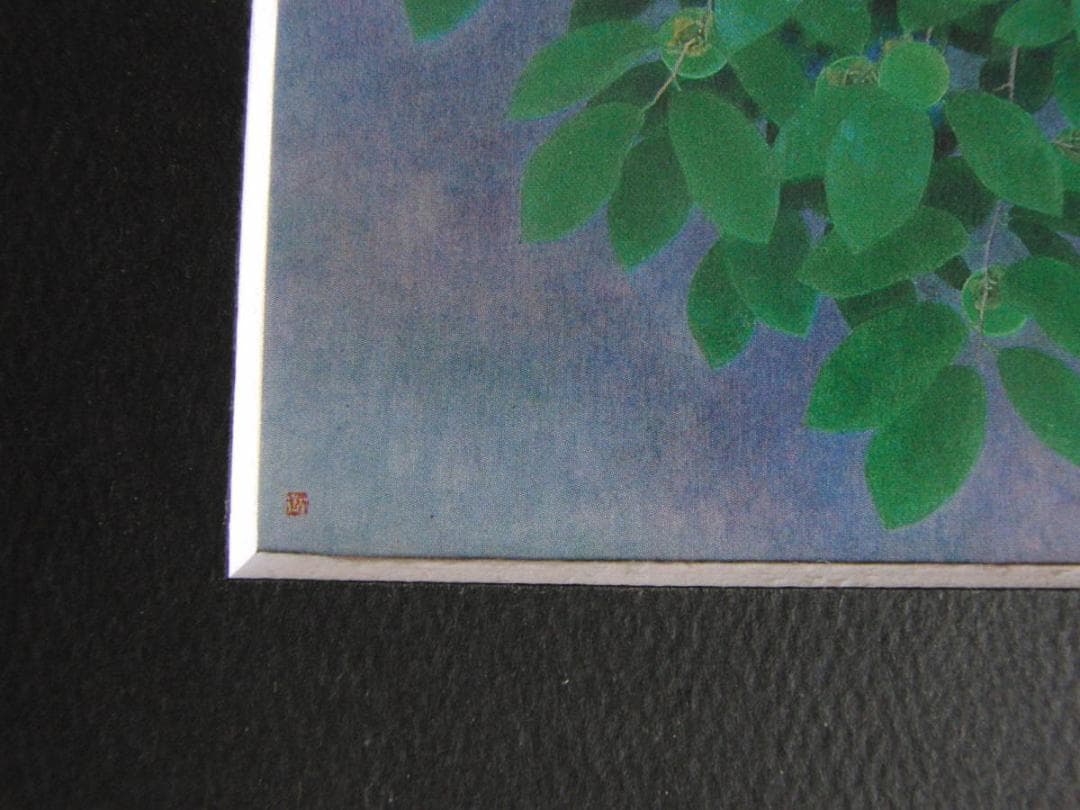 山口華楊、【青柿】、希少な額装用画集より、新品額装付、状態良好