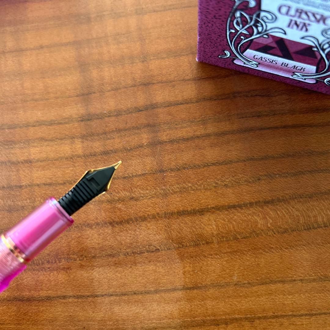 プラチナ万年筆 #3776 センチュリー ニース リラ M クラッシックインク