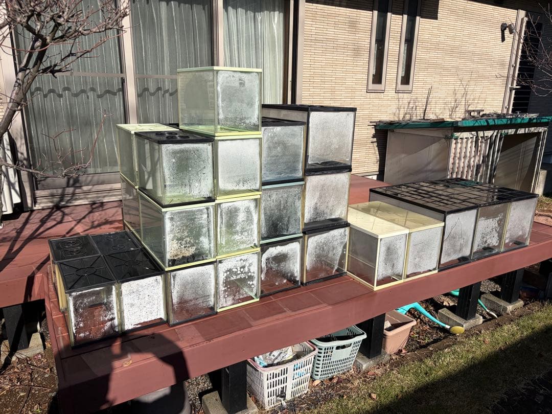 ガラス製飼育ケージ 複数セット(引取限定)