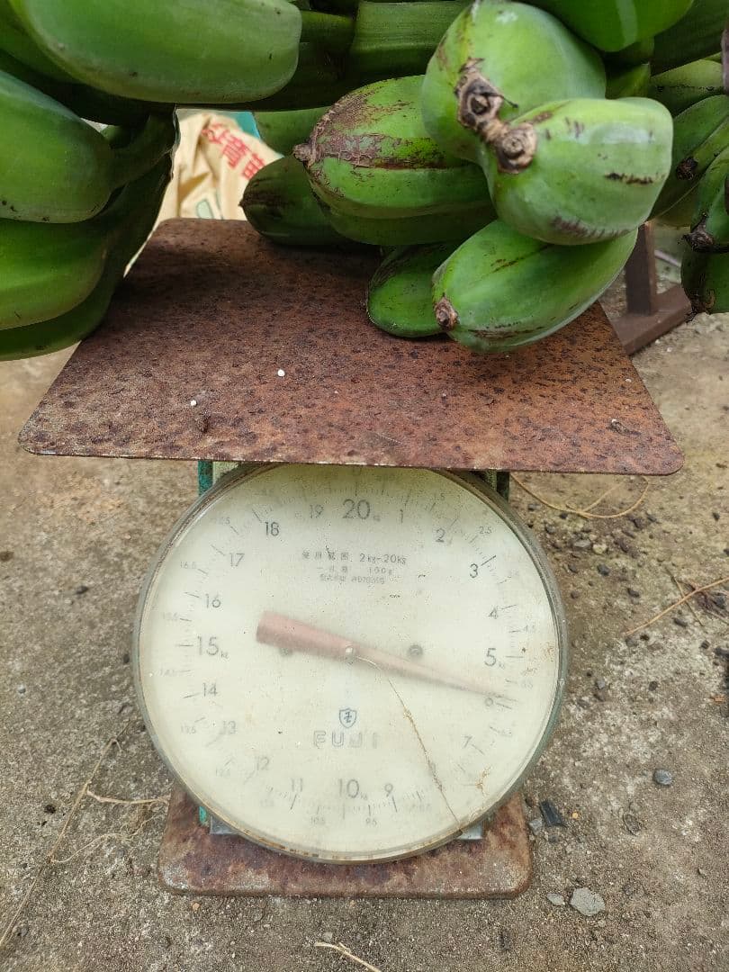 【みつばっち〜】