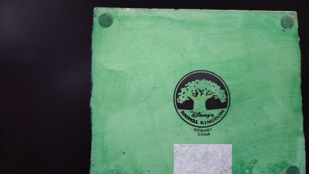 Disney World Animal Kingdom 置物