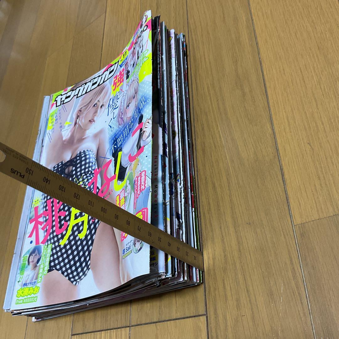 一時値下げ　桃月なしこ　両面ポスター6点、切り抜き