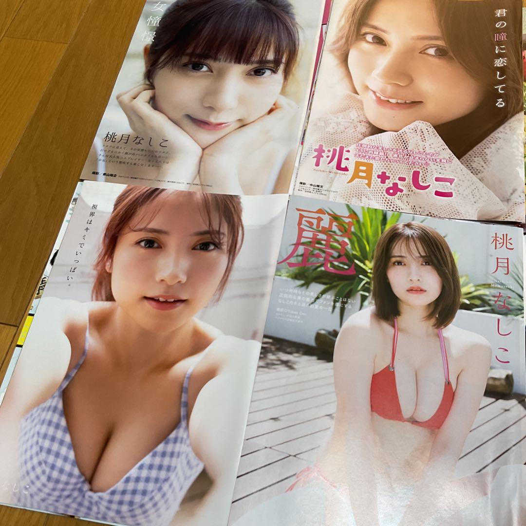 一時値下げ　桃月なしこ　両面ポスター6点、切り抜き