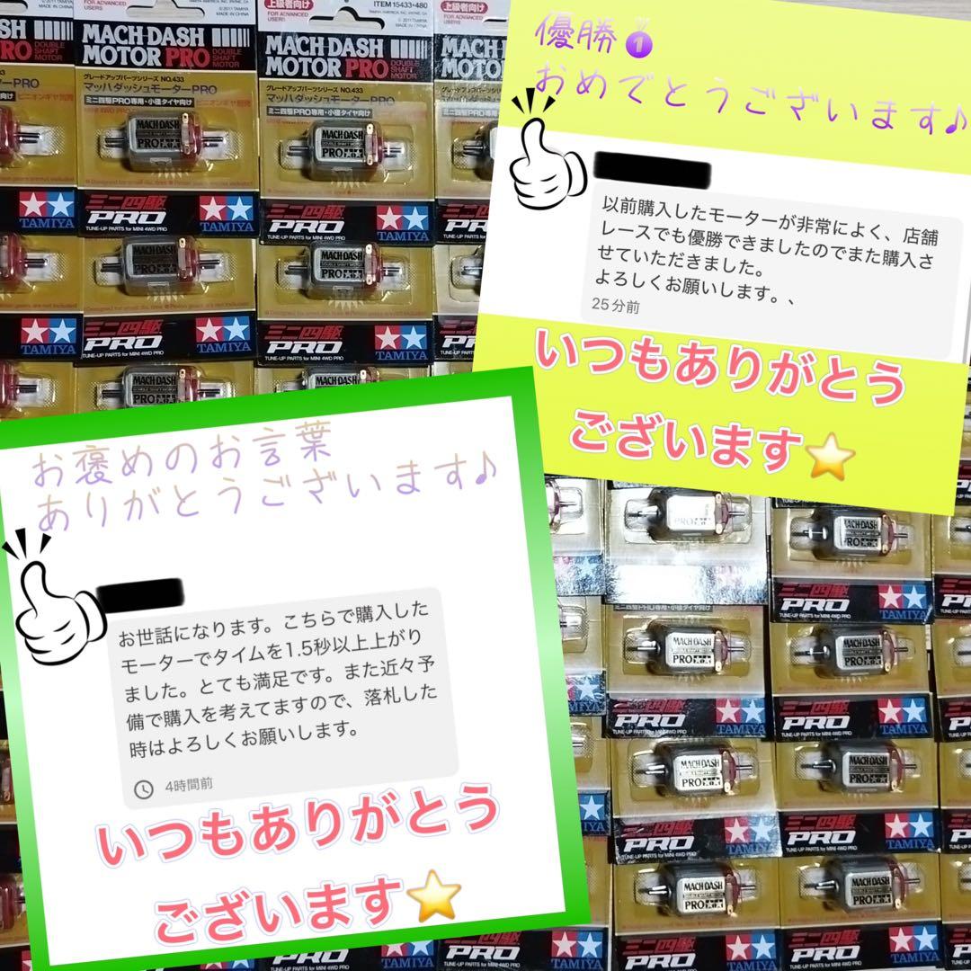 メガネ野トシページ高回転高トルクマッハダッシュ育成済みネオチャンプ2セット