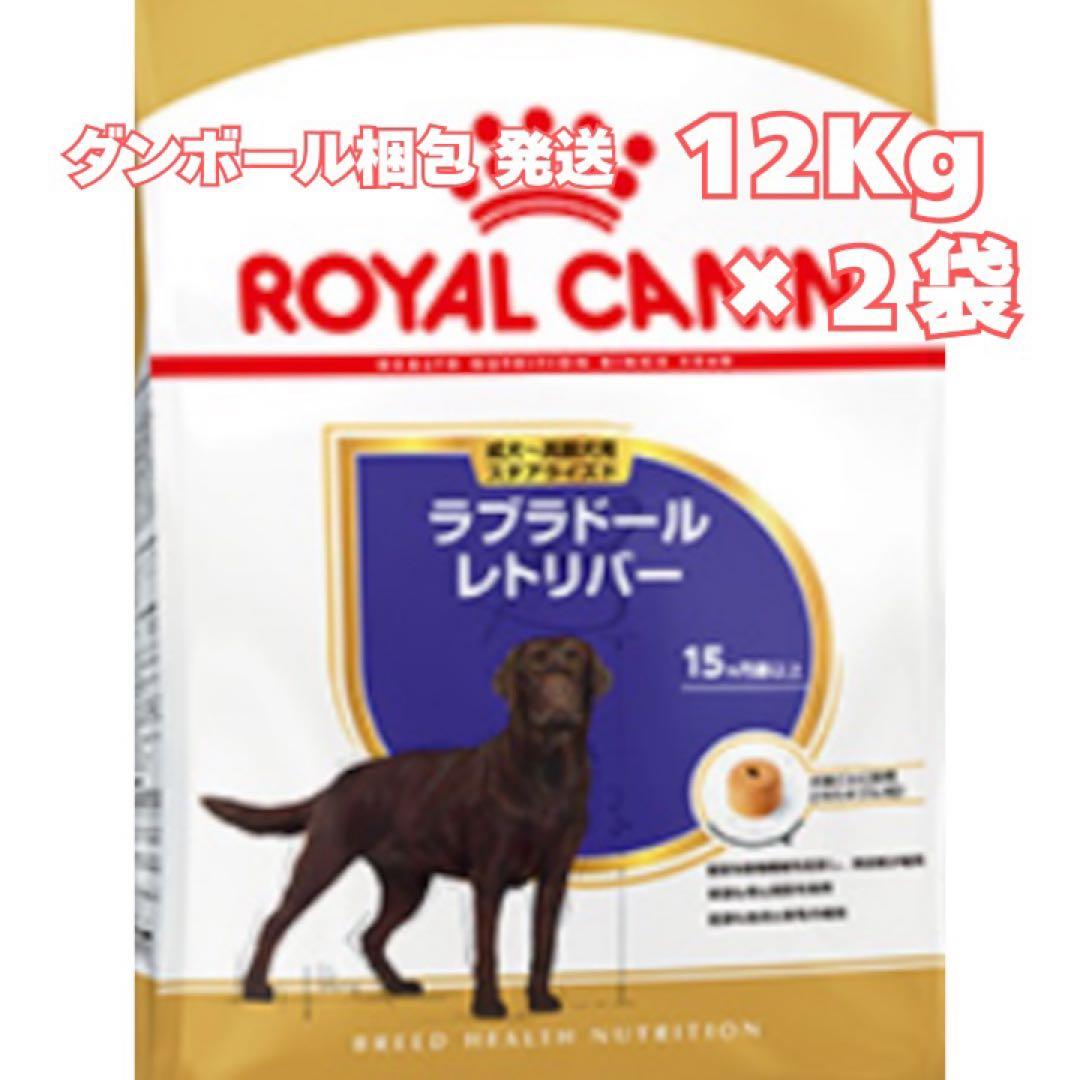 ◎ろっくページ◎