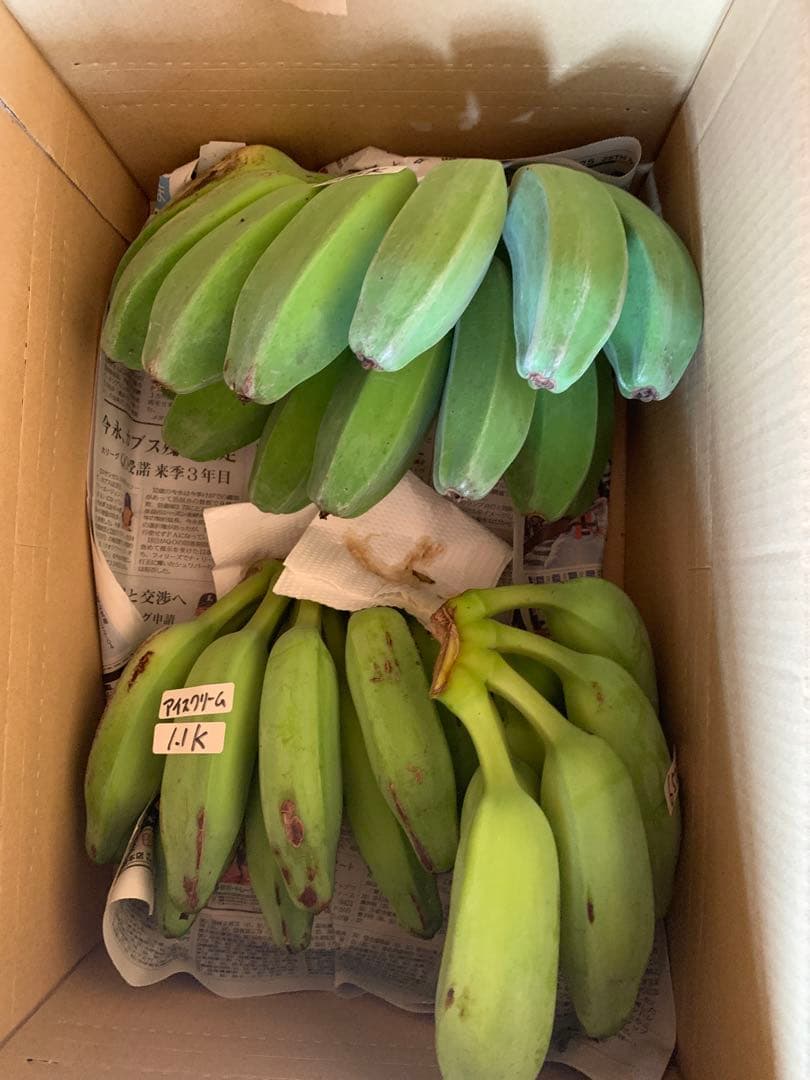 かな様　ご予約