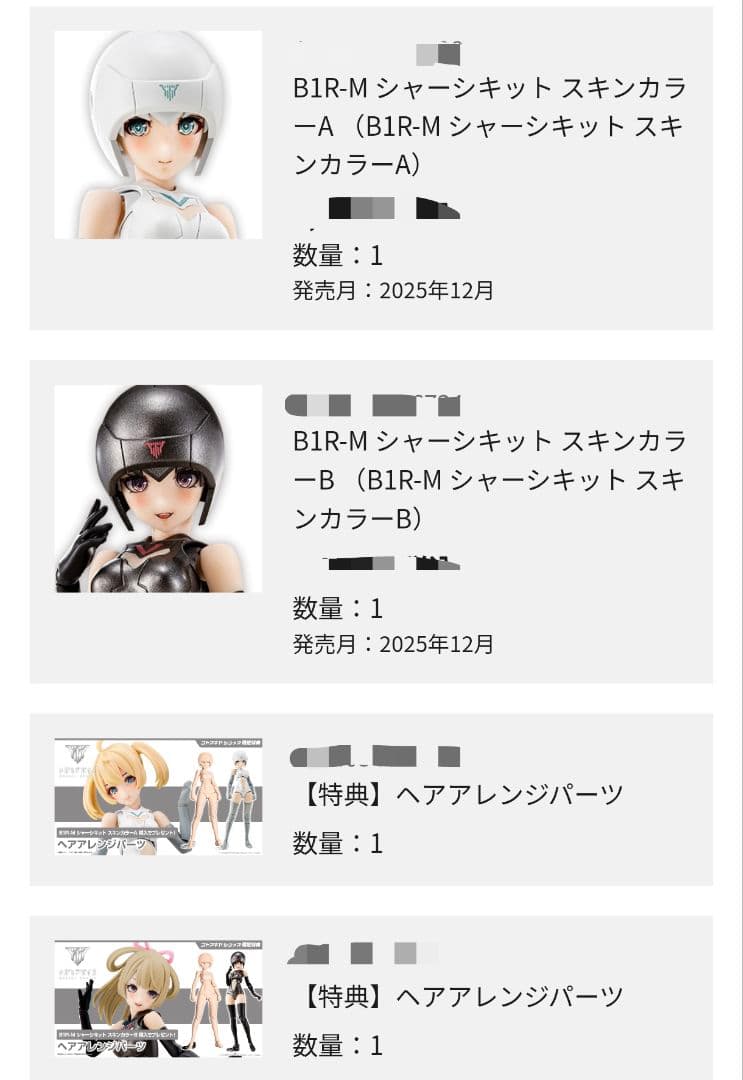 B1R-M シャーシキット スキンカラー A&B セット